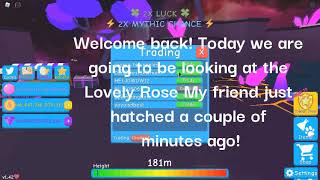 Showcasing Lovely Rose Roblox Bubble Gum Simulator