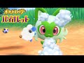 ポケモン洗わせて頂けるんですか!?|ポケモン バイオレット #4