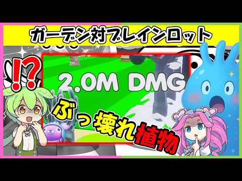 ガーデン対ブレインロット 設定ミス アドミン陰陽イベントで植物が強くなり過ぎた 秘密のコード2個あるよ フォートナイト