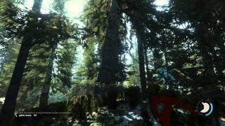 The Forest Opening Scene and Day 1 Game Play