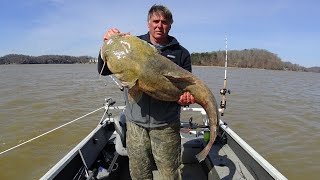 Who's This Pretending To Be Catfish Dave?