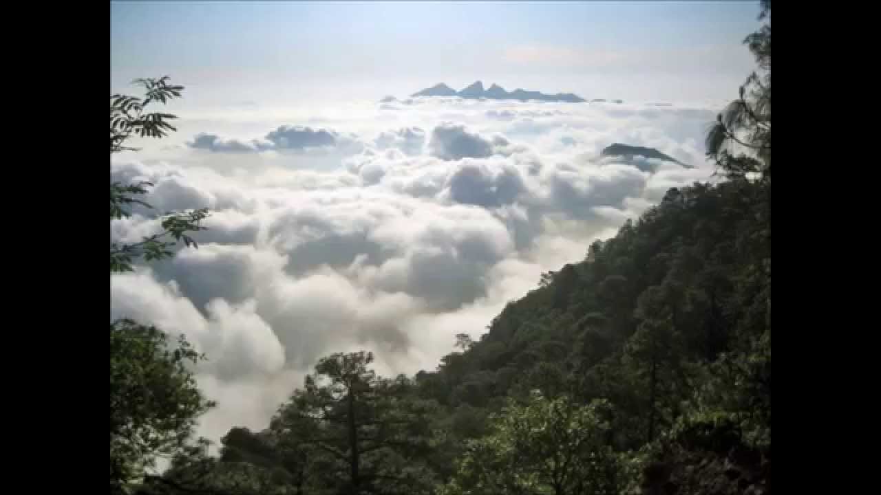 Requisitos para cambio de apellido paterno en nuevo leon Requisitos para cambio de apellido paterno en nuevo leon