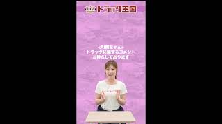 トラックについてなんでも回答！AI熊ちゃんライブ配信！