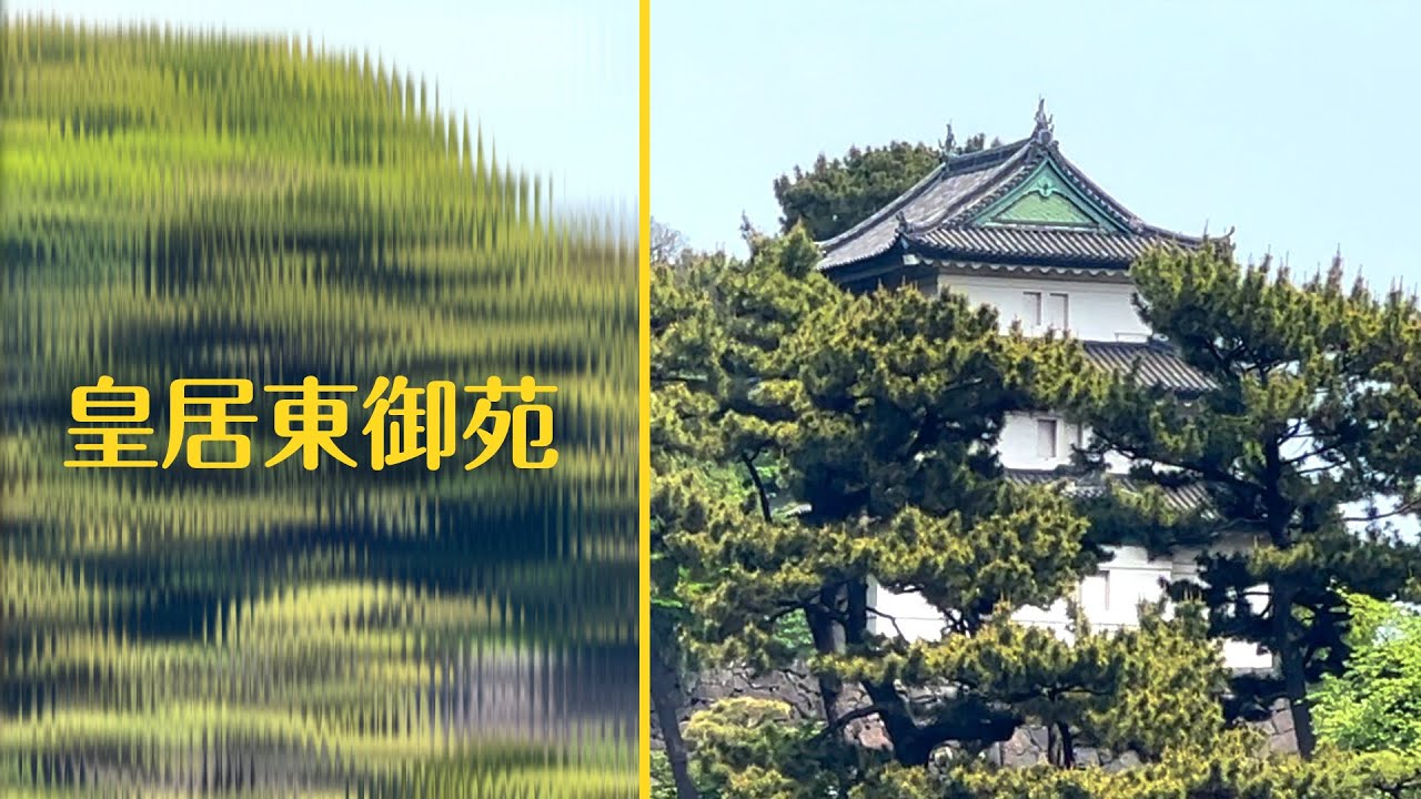 日本天皇的御花園 竟然如此樸素 皇居東御苑 代你旅行 日本vlog Youtube