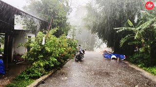 Local Looks Walking through the Village in the RainVillage Rain Life