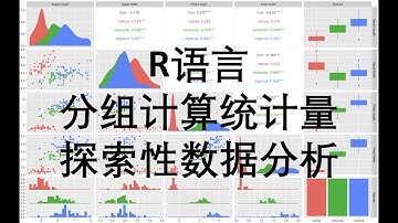 R语言 分组计算统计量 探索性数据分析 tidyverse GGally