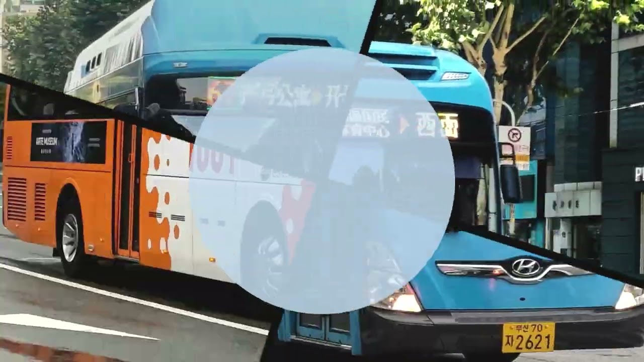 YOUKAI ZONE 부산버스