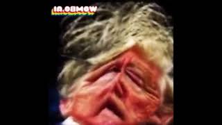 Preview 2 Trollbot Trump Deepfake