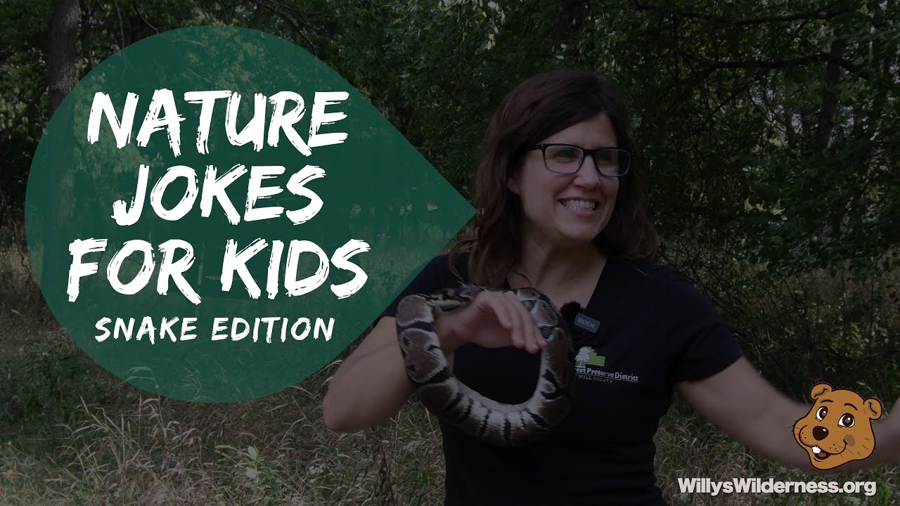 Nature Jokes for Kids