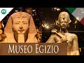 Il museo egizio di torino  dalla nascita alla rinascita