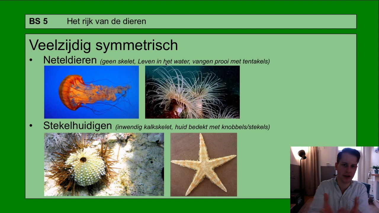Basisstof 5 Het rijk van de dieren - YouTube