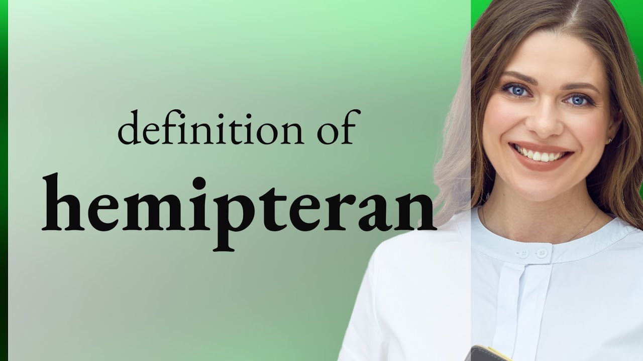 Hemipteran • what is HEMIPTERAN meaning