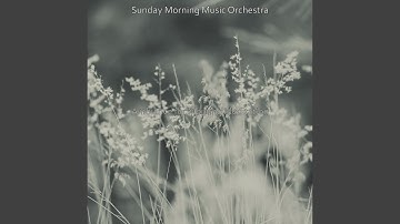 Scintillating Backdrops for Morning Meditation