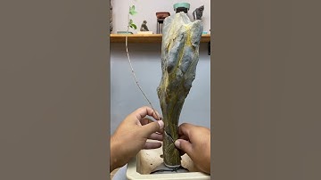 附石盆景放养过程中，需要梳理枝叶，增加通风透气性，保留足够的枝叶进行光合作用 #盆景制作技巧 #附石 #附石盆景