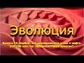 Карбон: как закладывались уголь и нефть. 359 - 299 млн. лет назад. "Эволюция", вып. 13