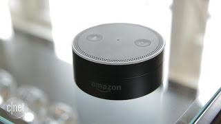 Echo Dot (5th Gen) Review: The Best Echo on a Budget - CNET