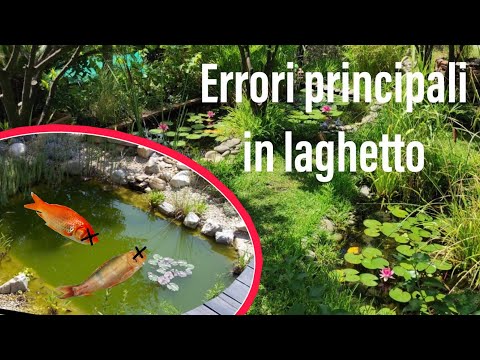 Video: Laghetto In Giardino