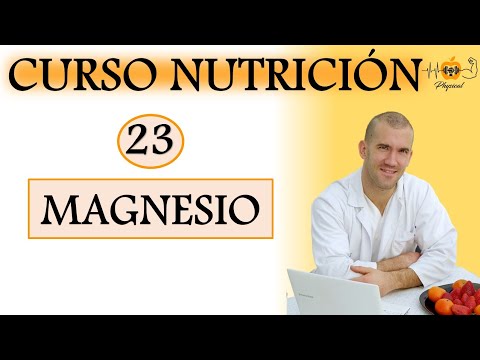 🔸CURSO DE NUTRICIÓN DEPORTIVA  -  PARTE 23 🔸