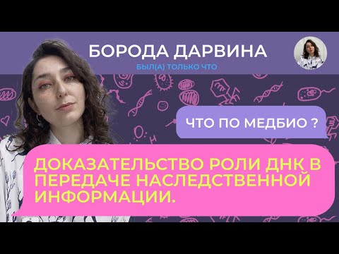 Доказательство роли ДНК в передаче наследственной информации. Медбио.