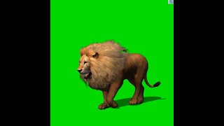 Lion | Live streaming SVGA gift effect screenshot 4