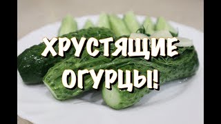 ЛУЧШИЕ МАЛОСОЛЬНЫЕ ОГУРЦЫ в твоей жизни за 5 минут!Засолка огурцов. Рецепт малосольных огурцов ЛУЧШИЕ МАЛОСОЛЬНЫЕ ОГУРЦЫ в твоей жизни за 5 минут!Засолка огурцов. Рецепт малосольных огурцов