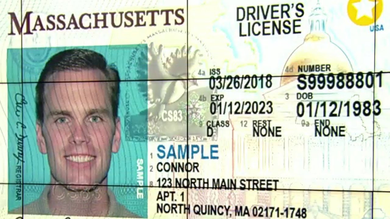 That time I got a Florida driver's license without knowing it