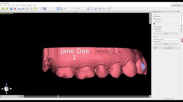 Phase 7 -  Label Export and Report Generation