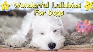 Relaxing Sleep Music For Dogs And Puppies ♫ Relax Your Dog Effectively Within 5 Minutes