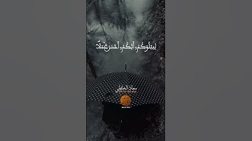 استمع لتلاوة تملأ قلبك بالتأمل – ما تيسر من سورة هود بصوت معاذ الخلطي #القرآن_يصل_إلى_القلوب