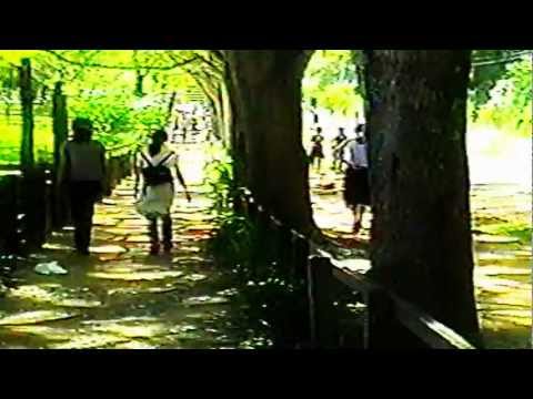 barragem aguieira NVECapture.0143.mpg- NO ZOO...ANOS 90