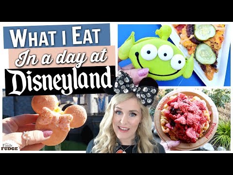 What I Eat In A Day At Disneyland || Traveling Mom Of 4
