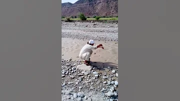 Pashto Song Waziristan 