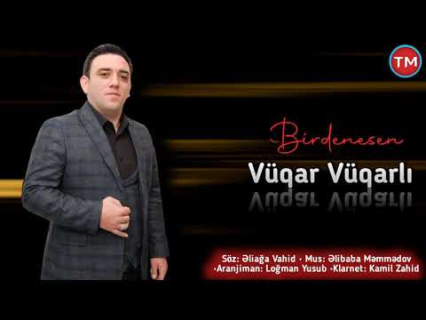 Vuqar Vuqarli - Birdenesen 2021 / Tiktokda Axtarilan Sevgi Mahnisi