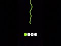 Cracks on my screen (Not that big!)