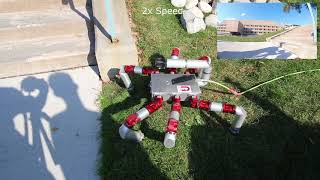 Outdoor Inertial-Stabilized CPG Locomotion (2x Speed)