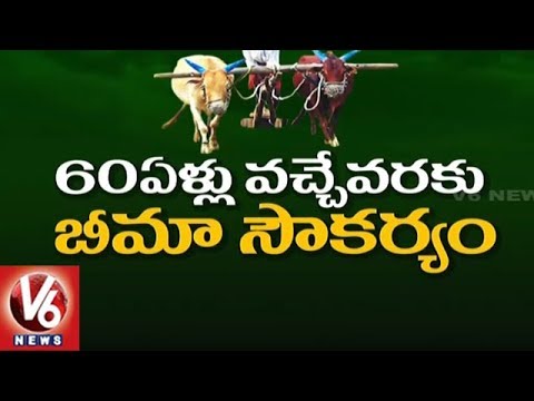 Telangana Govt Releases Guidelines For Rythu Bheema Scheme | V6 News