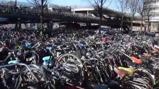 Outdoors bicycle parking Amsterdam Central Station | Travel