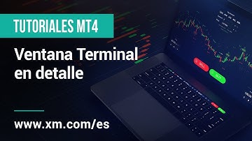 XM.COM - Tutoriales MT4 - Ventana Terminal en detalle