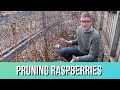 Raspberry Pruning 101: How To, When, & Why