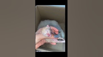 I love you grandma #cat #error 404