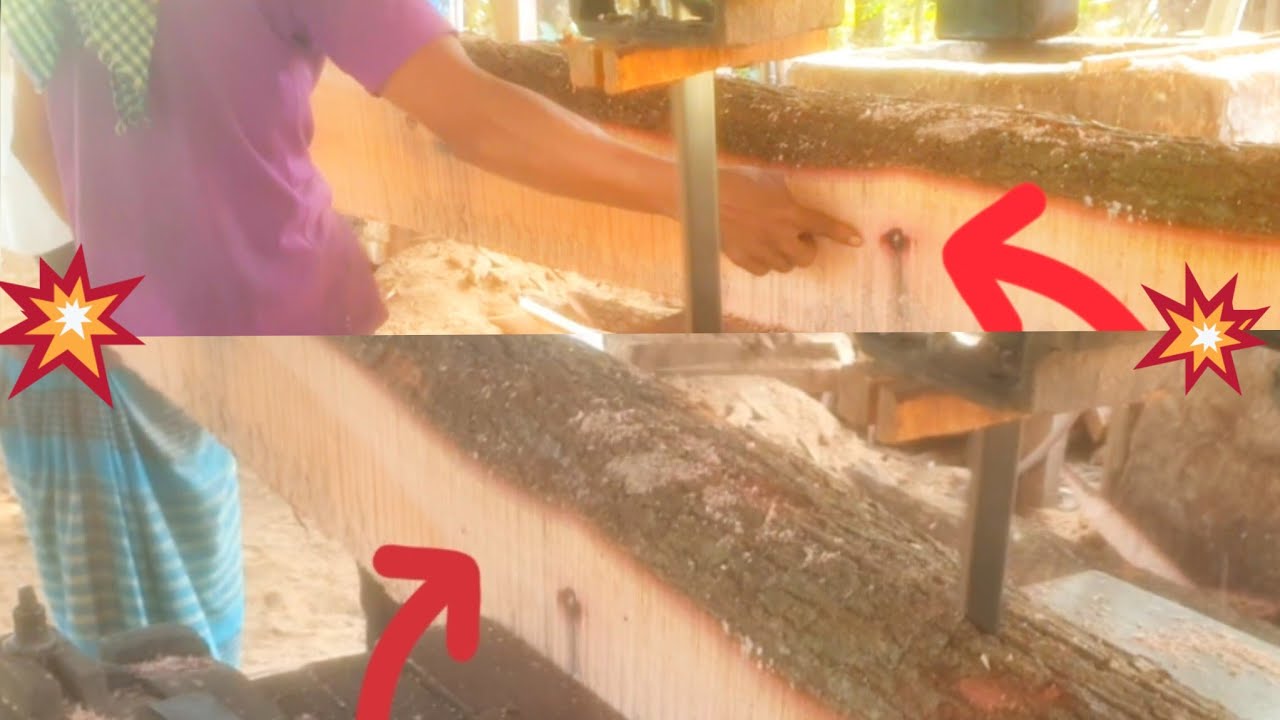 nice wood working cutting machine sawing palm tree stihl ms070 ...