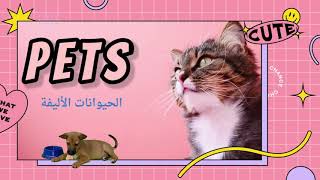 حيوانات أليفة pets كلمات الحيوانات الاليفة بالانجليزي cat dog kitten puppy تعلم الانجليزية للمبتدئين