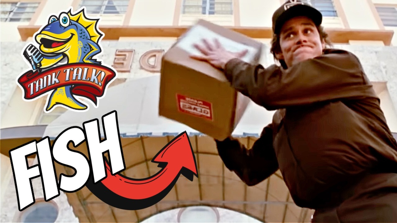 Shipping Fish Isn't As Crazy As It Sounds!