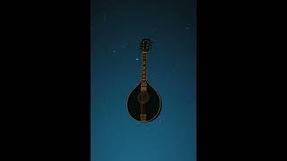 Dapto - Bulle Tachyphylaxie - 02