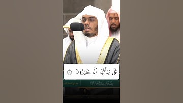 الشيخ ياسر الدوسري سورة الكافرون | #yasseraldosary #ياسر_الدوسري