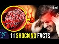           amazing facts about the human body  rewirs