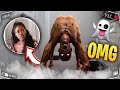 Hilarious POSSESSED PRANK ON GIRLFRIEND...