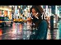 雨に咲く花 都はるみさんの歌唱です