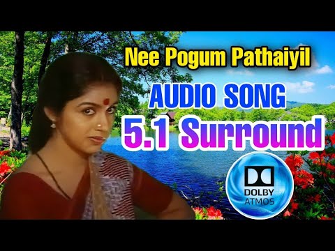 Nee pogum pathaiyil Audio Song  siva Audios  51 surround