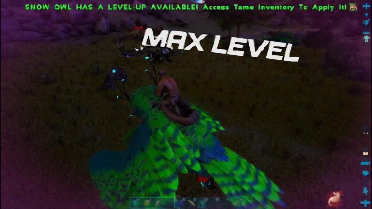 Ark Lost Island Snow Owl Breeder & Maewing Taming YouTube